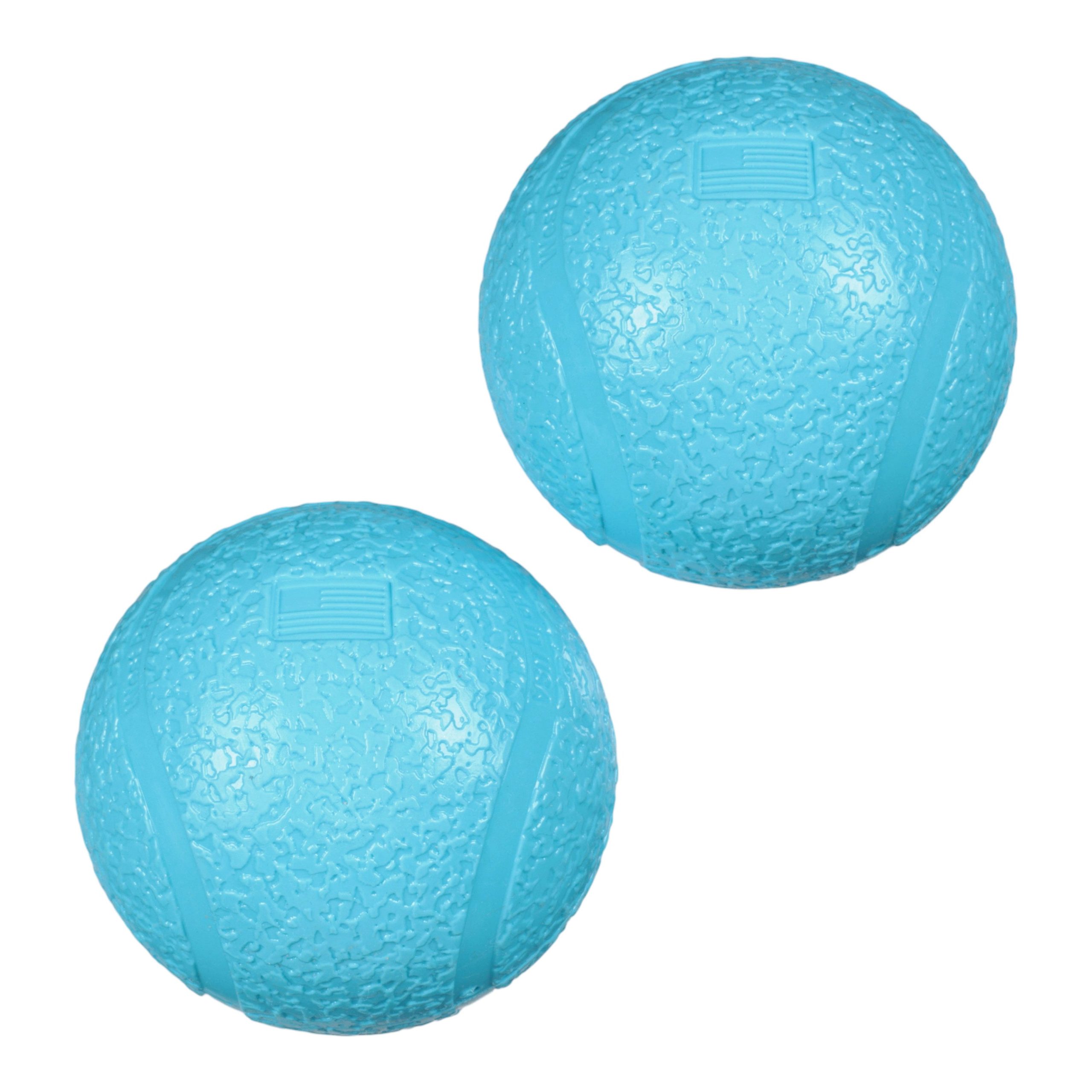 BZ015AQA_Small_Boundr_Aqua_Unpackaged_Back_Puppy.jpg
